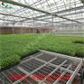 甘肃张掖温室苗床定制-阳光板大棚苗床网造价
