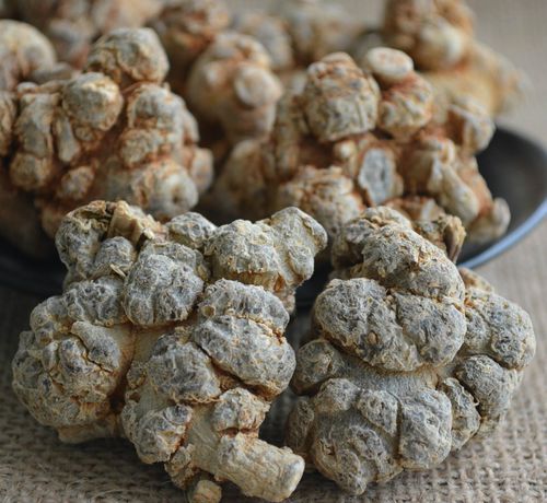 文山三七药材育苗潮汐苗床-承重性好-结实耐用  中药材育苗床