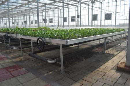 优质移动苗床-热镀锌移动苗床哪里找--华耀行业专家  移动苗床厂家