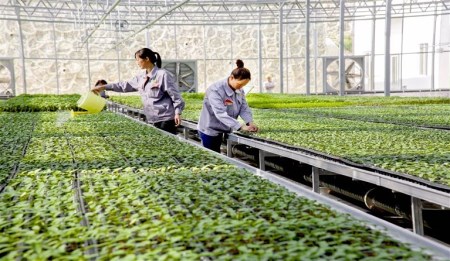 漳州有机蔬菜育苗移动苗床-做工精细-品质优良  育苗床  镀锌育苗床  有机蔬菜育苗床