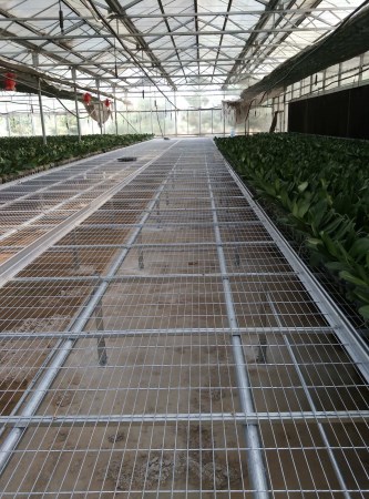 潮州联栋温室移动苗床-货源足质量优  大棚专用移动苗床