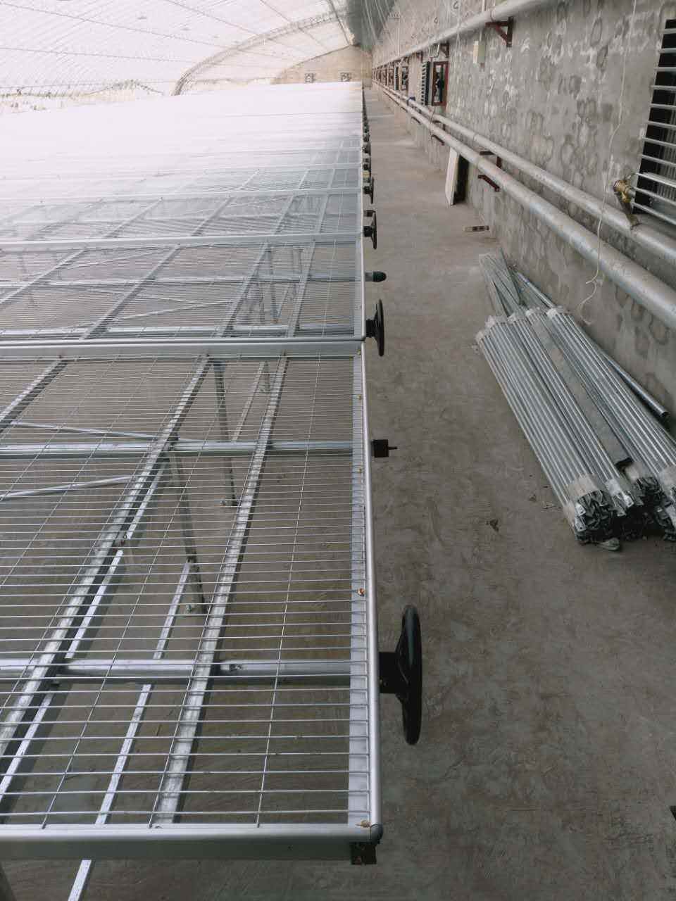 河北温室苗床网--移动苗床作用特色