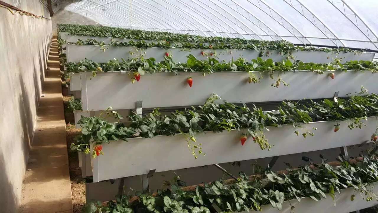 温室大棚 草莓立体种植槽 配套直销