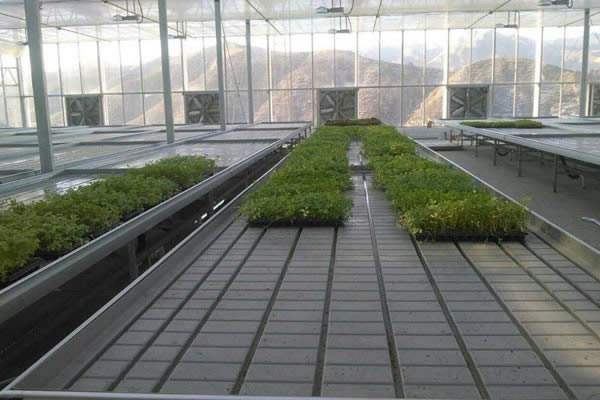 临汾高效节能灌溉潮汐式苗床系统报价  潮汐苗床  潮汐式灌溉