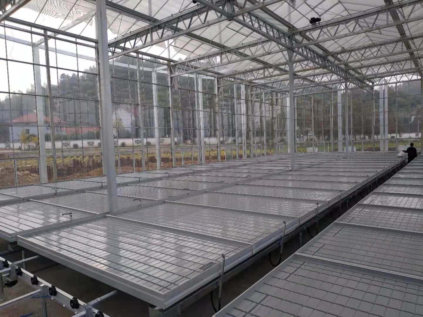 无锡温室育苗使用潮汐苗床带来的好处  潮汐式灌溉  移动苗床