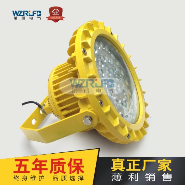 BLD160LED排污厂防爆灯150W
