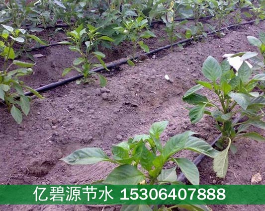 许昌农田全自动水肥一体化灌溉造价  许昌水肥一体化