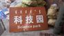 鸡西景区交通标志牌