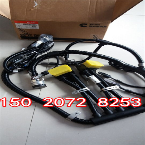 进口导线线束3104345山东康明斯QSV91电脑版