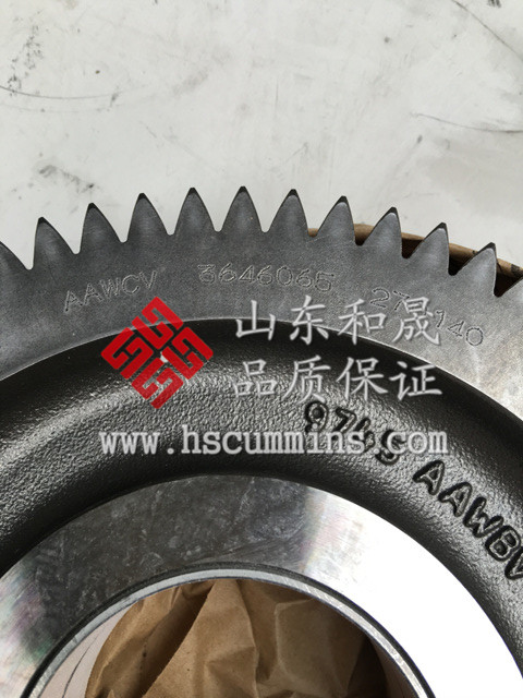 纯美国发货QSK60惰轮齿轮3046065