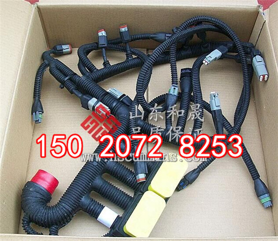 400G发电机组KTA19/K38线束3056356  KTA19线束