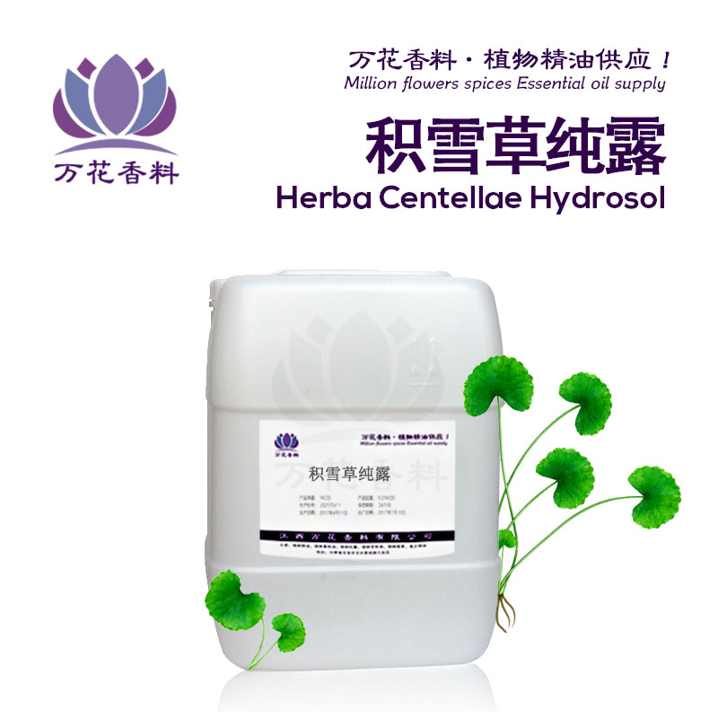 积雪草纯露 美白补水纯露批量供应  积雪草纯露价格  积雪草纯露厂家