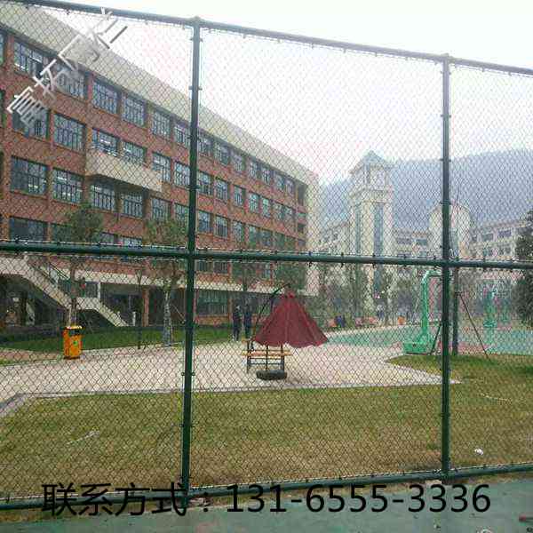 石家庄高邑县体育场围网厂