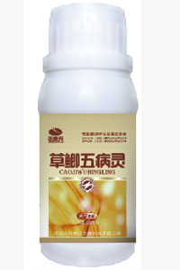 草鲫五病灵，防治四大家鱼肠炎、烂鳃、赤皮、打印  四大家鱼肠炎烂鳃