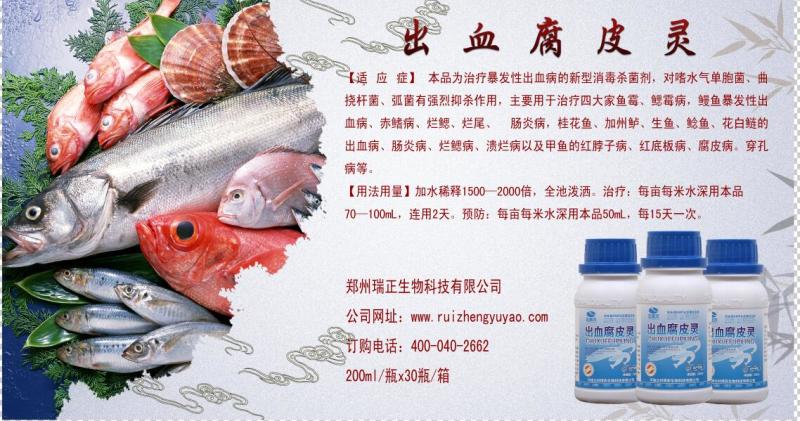 出血腐皮灵，治疗四大家鱼烂鳃烂尾肠炎