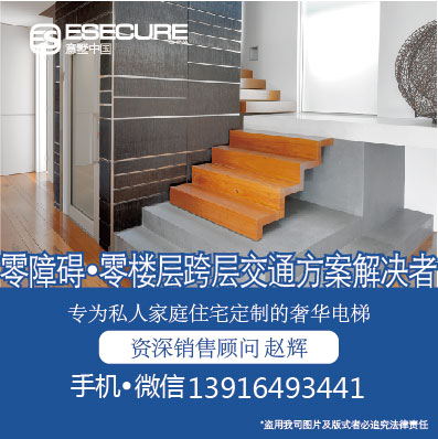 广东别墅，家用定制电梯电梯，三层四层专用电梯  别墅电梯  2-6人定制电梯  观光别墅电梯