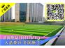 山西晋城运动场假草坪翻新阳泉足球场地面建设