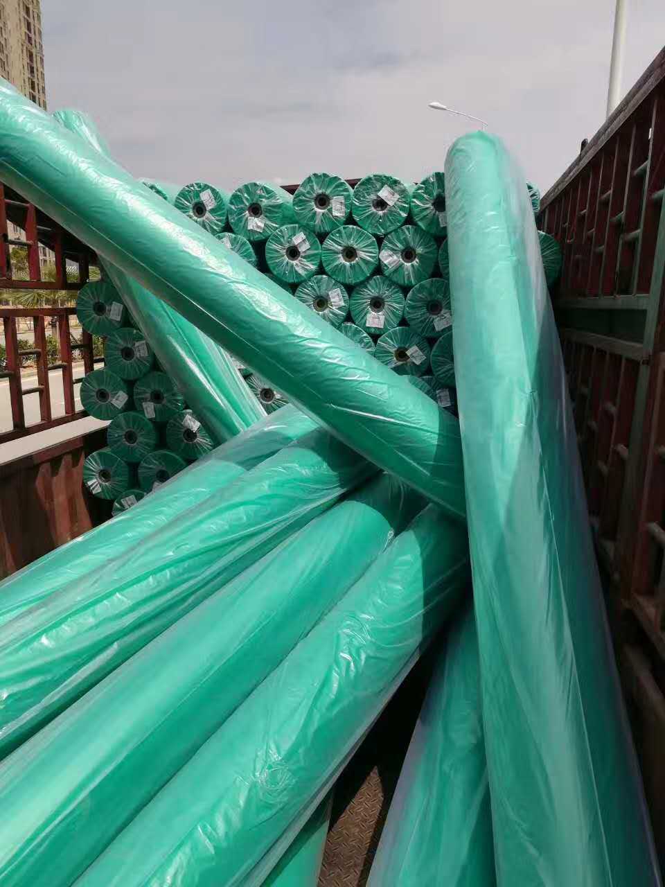 云南昆明市边坡施工植草专用哪些绿化资材塑料三维网  三维植被网护坡  边坡防护植草复绿  边坡稳固植草复绿
