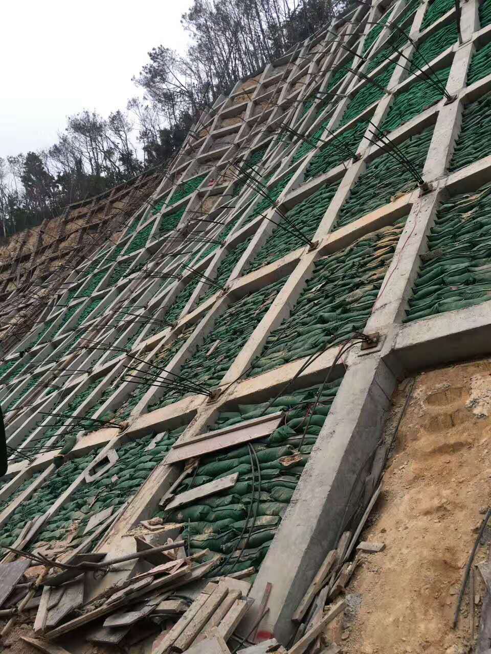 边坡绿化防护资材三维植被网昭通市厂库当天发货  边坡防护植草  稳固边坡挂网  生态修复植被护坡