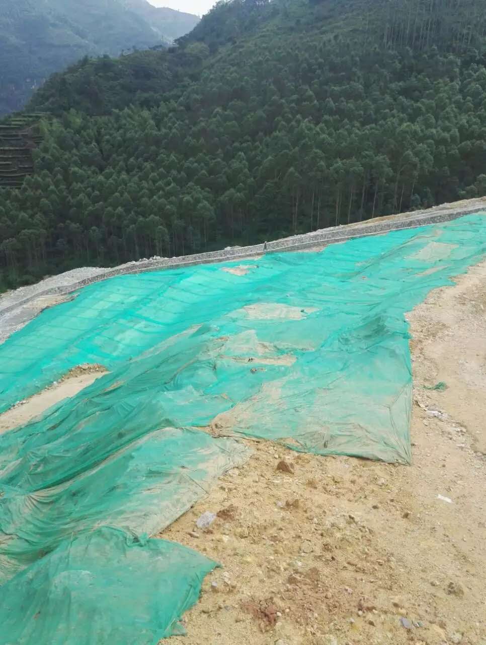 云南昭通市边坡常年稳固选用护坡资材出售  边坡绿化资材出售  稳固边坡长期复绿  边坡施工植草队伍