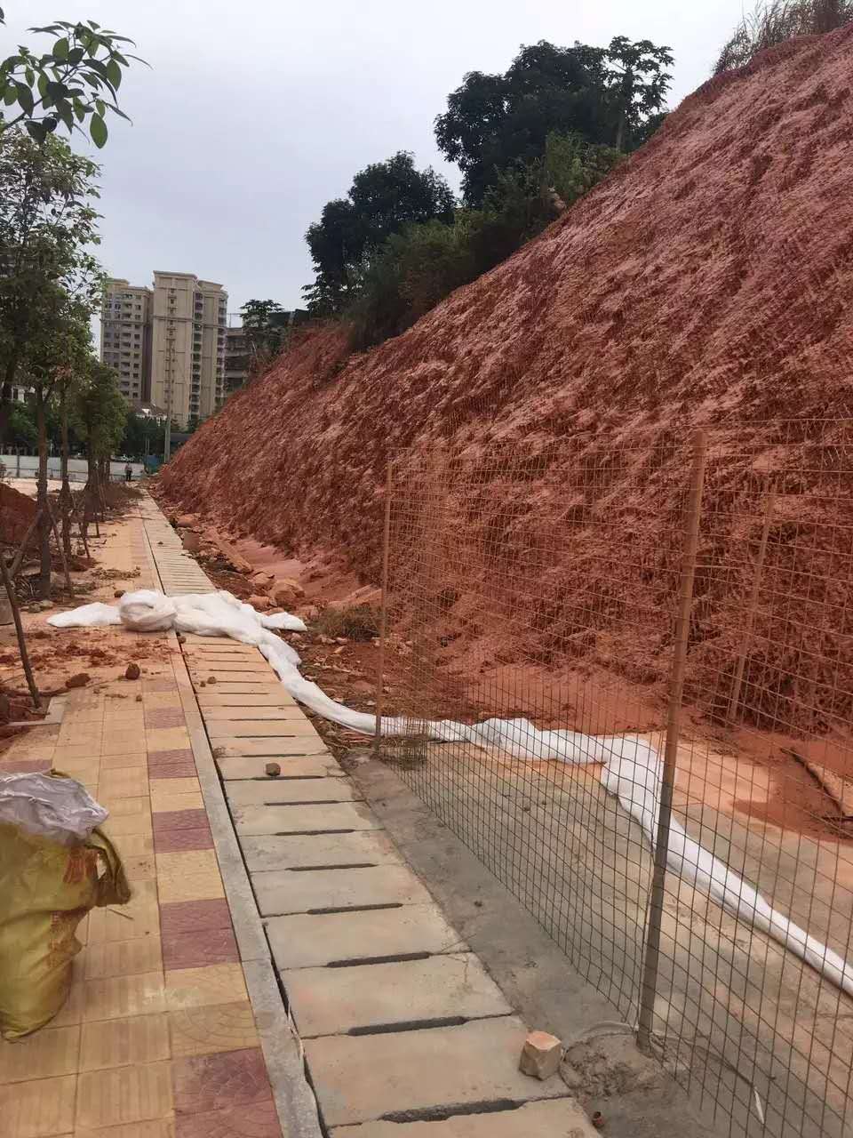 高速公路边坡绿化施工专用绿化材料昭通市供应  边坡防护资材  稳固边坡防护植草  固土护坡绿化资材