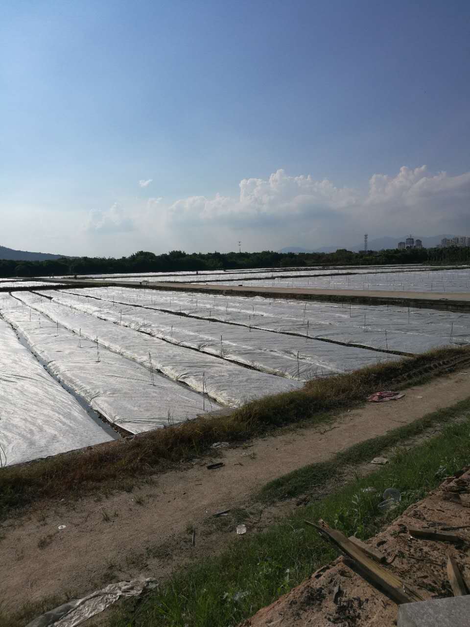 高速边坡绿化植草专用无纺布昭通仓库大量存活  绿化无纺布出售  边坡防护资材  盖草籽绿化无纺布