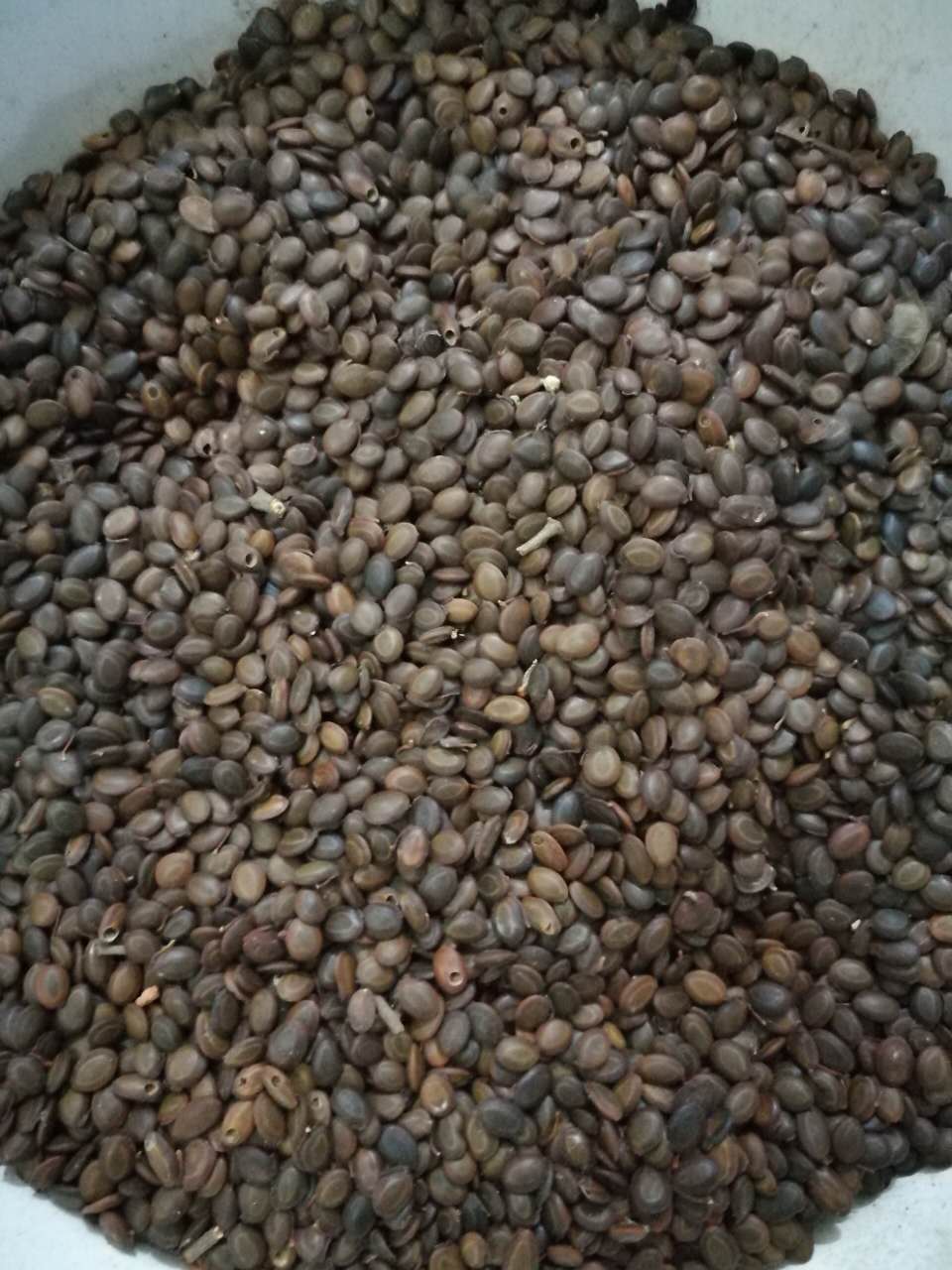 优质防护网边坡常用塑料三维网挂网植草护坡昭通市专供  挂网植草护坡绿化  边坡防护植草  稳固边坡绿化资材