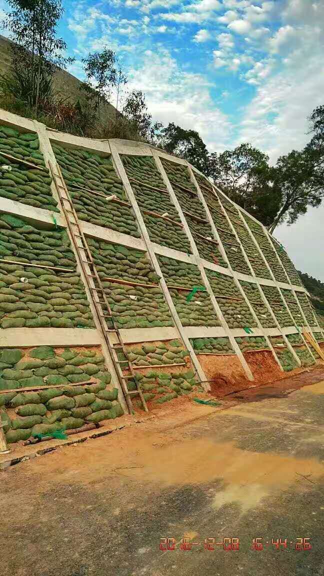 高速路边坡植草队伍云南昭通技术施工  边坡防护绿化  稳固边坡绿化资材  高速边坡防护