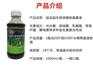 鸡舍猪舍消毒怎样安全有效消除圈舍臭味