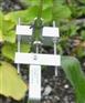 DD-S茎干直径生长变化传感器