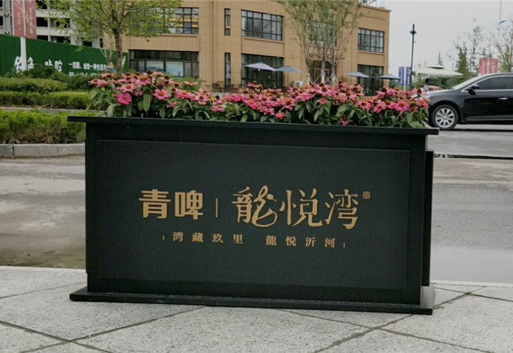 办公楼铁艺花箱 不锈钢花盘批发量采购