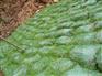 植生袋 护坡绿网袋 草种绿化袋 护坡生态袋 边坡绿化植生袋