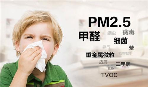 除甲醛用锐钛型纳米二氧化钛 除甲醛用二氧化钛 光催化纳米氧化钛 锐钛型纳米氧化钛