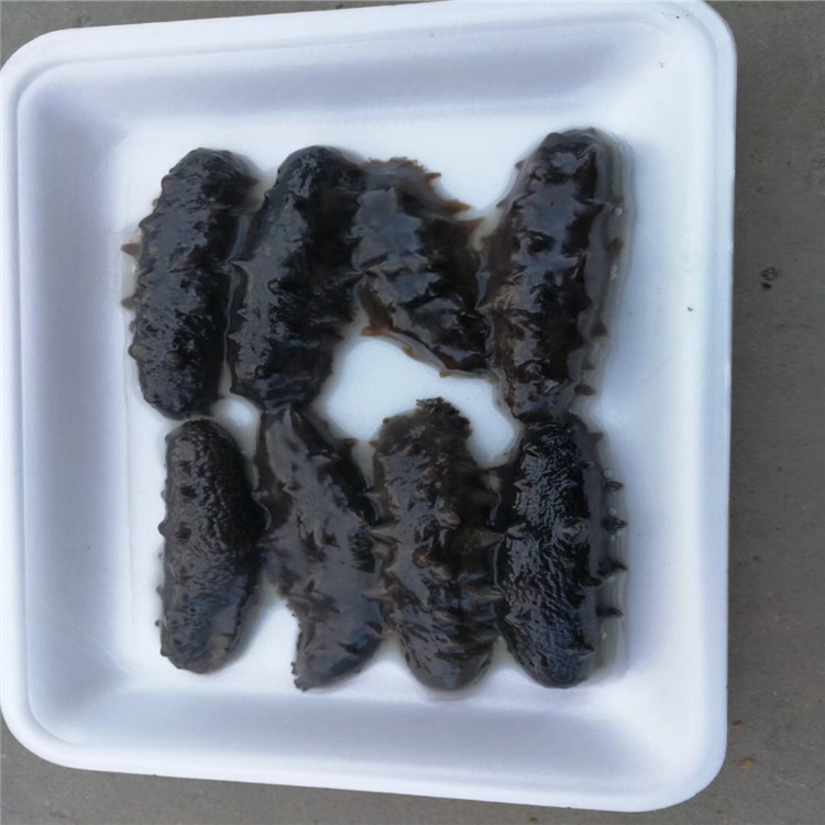 750型贴体膜真空包装机 刺身贴体盒式包装机  刺身盒式包装机  盒式覆膜机