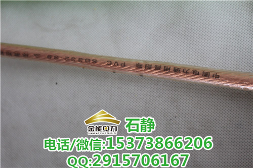 个人保安线16平方接地线+长沙接地线接地棒组 接地线厂家