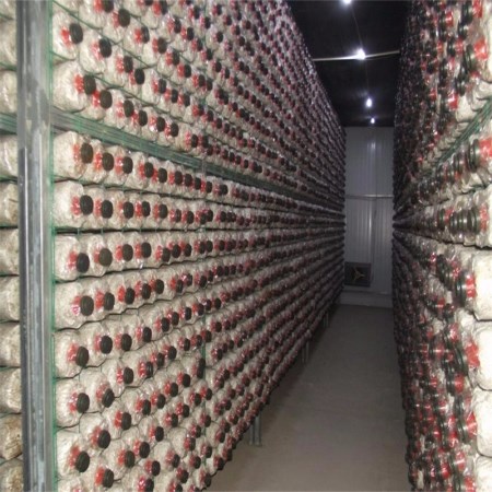 蘑菇培育架/温室蘑菇栽培架定做