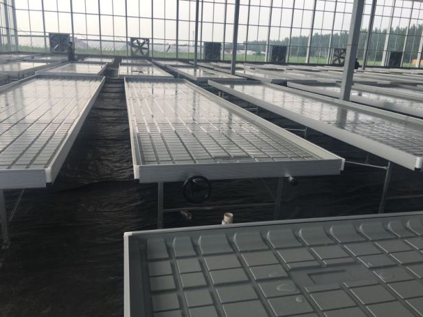 温室潮汐苗床厂家介绍实际使用中的优势