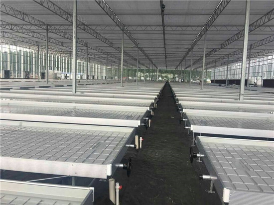 兰州玻璃温室育苗专用潮汐苗床经济实用  潮汐式灌溉  移动苗床