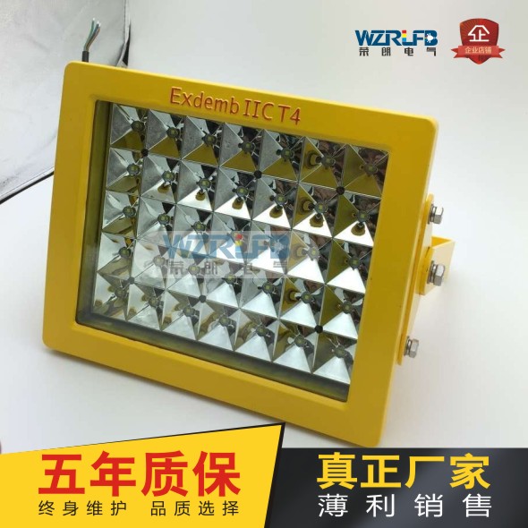 BLD170LED防爆洗煤厂灯 100WLED防爆灯