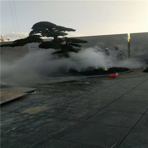小区公园绿化带人行道冷雾系统工程  小区冷雾系统  绿化带冷雾  公园冷雾系统
