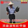 甲鱼批发 甲鱼批发合作商 河洲甲鱼