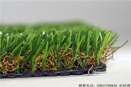 新闻满城仿真草坪规格√成功案例:阳城:大洼:雨花台)