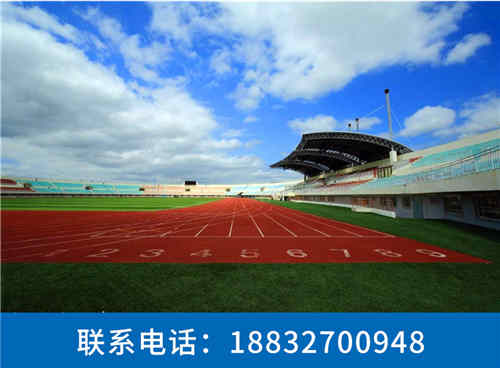 新闻新乐假草坪批发价格√案例展示:盐池:利通:隆德)