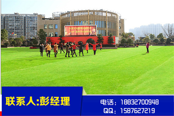 新闻满城仿真草坪报价√案例展示:沾益:未央:广安)