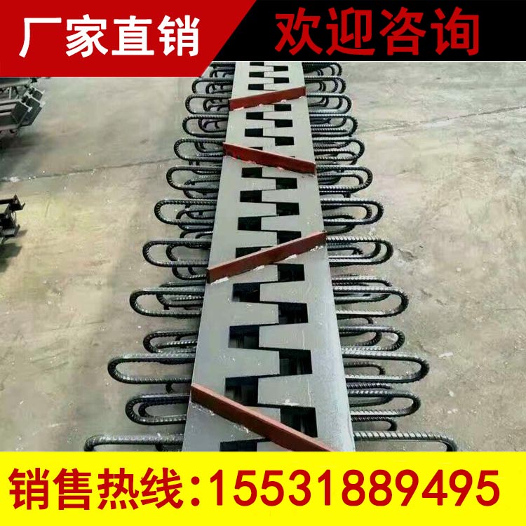 梳形板伸缩缝销售&nbsp;&nbsp;梳齿板伸缩缝&nbsp;&nbsp;梳齿板式伸缩装置&nbsp;&nbsp;ssfb 桥梁伸缩缝