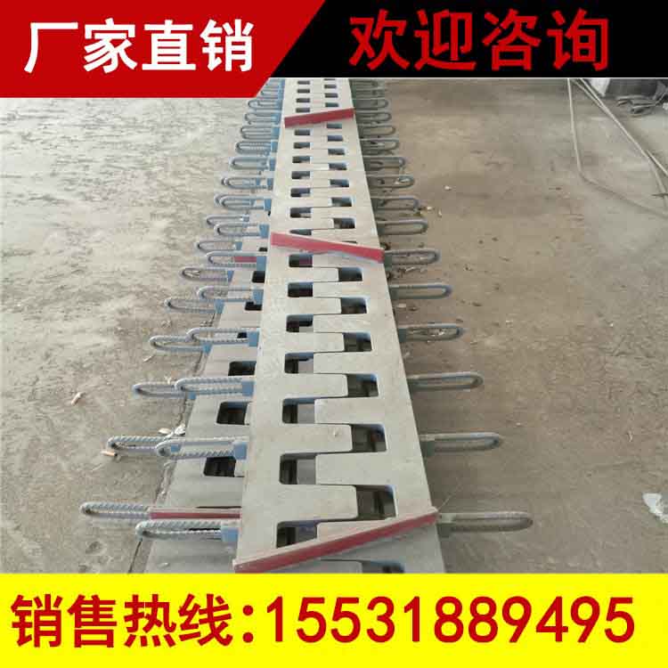桥梁伸缩缝梳齿板批发&nbsp;&nbsp;120多向变位伸缩缝&nbsp;&nbsp;梳齿式伸缩缝&nbsp;&nbsp;梳形伸缩缝