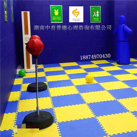 宣泄室中的宣泄墙以及宣泄地板有什么作用  心理设备  宣泄设备  宣泄墙作用