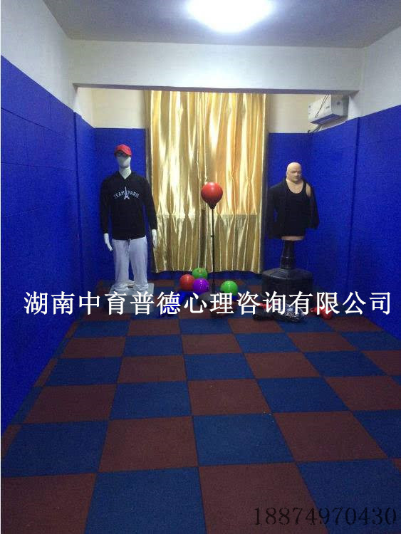 宣泄室中的宣泄墙以及宣泄地板有什么作用  心理设备  宣泄设备  宣泄墙作用