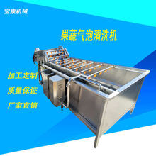 果蔬清洗设备  气泡清洗机  毛辊清洗机  蔬菜清洗机