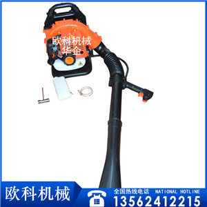 四冲程纯汽油吹风机   温室大棚吹雪机&nbsp;&nbsp;背负式吹风机&nbsp;&nbsp;吹尘机